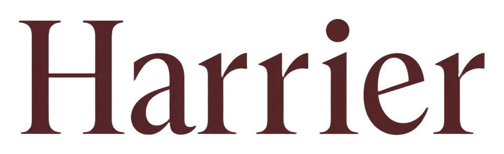 Wordmark v1