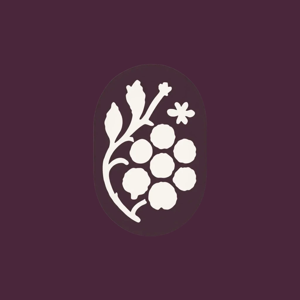 App icon v1